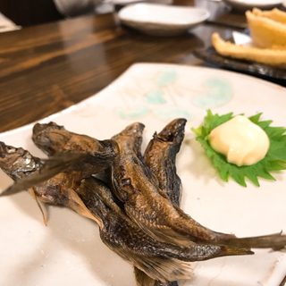 A97F5B10-D0FE-4C8B-B4CC-EB729D01620E.jpg