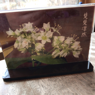 AE29295E-FA04-4389-A6DD-F84F8D05FE6F.jpg